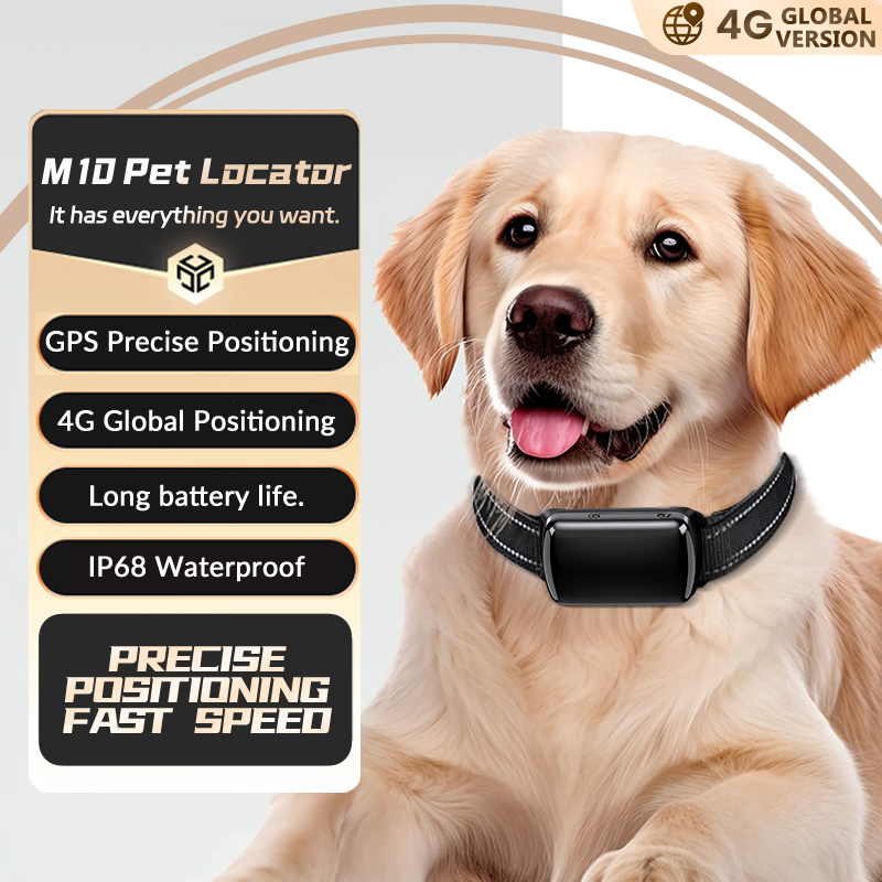 4G Dog Tracking Collar Locator With Google Map Real Time Tracking For Pets GPS Locator